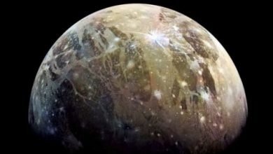 Ganymede Uydusu