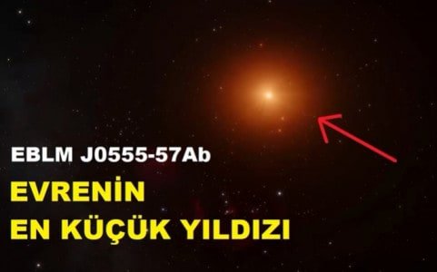 Evrenin En Kücük Yildizi