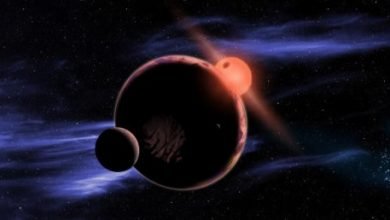 Kepler 51 Yildiz Sistemi