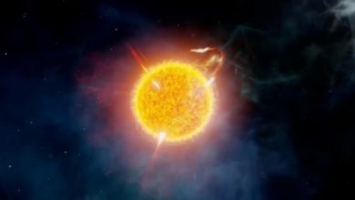 uy scuti yildizi