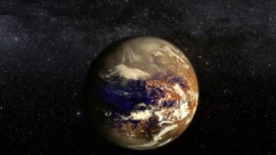 Proxima Centauri B Yıldızı
