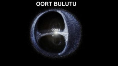 Oort Bulutu Nedir