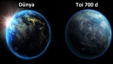 TOI 700D GEZEGENI