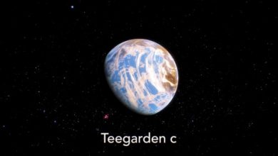 teegarden c gezegeni