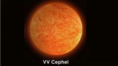 VV Cephei B Yıldızı