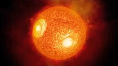 Antares Yildizi