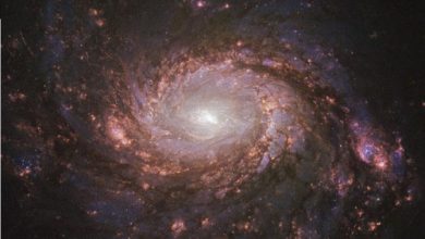 Messier 77 Galaksisi