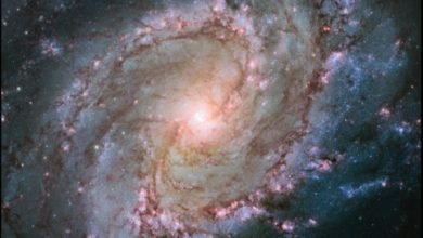 Messier 83 Takım Yıldızı