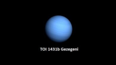 Toi 1431b Gezegeni