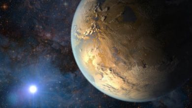 Kepler-446c Gezegeni