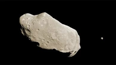243 Ida Asteroiti Ve Uydusu