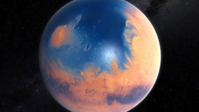 Marsi Dünyalastirma Projesi