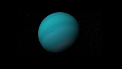 Gliese 876 b Gezegeni
