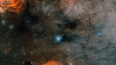 Gliese 667 Gezegenleri