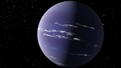 TOI-1231 b Gezegeni