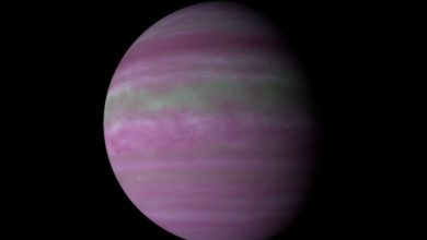 Kepler-344 C Gezegeni