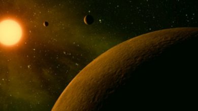 Kepler-42D Gezegeni