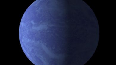 Kepler-446 B Gezegeni