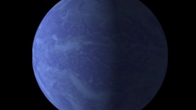 Kepler-446 b Gezegeni
